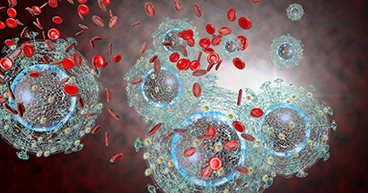 Virus
