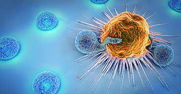 immune system