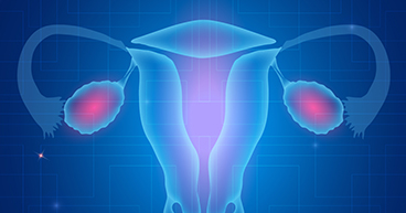 Fallopian