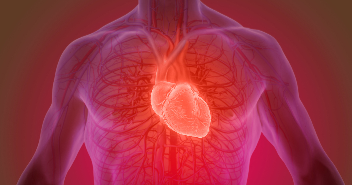 Illustration of a human heart glowing inside the body