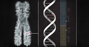 Genetic-Test
