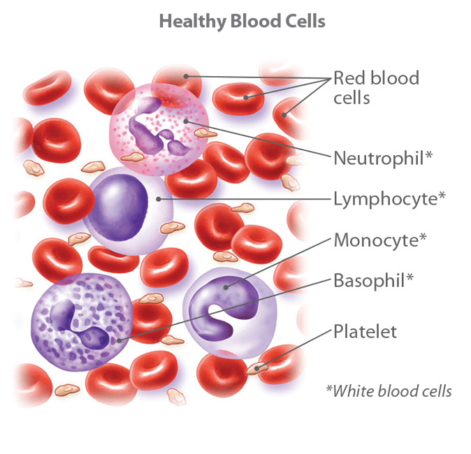 What Do Platelets Do For Cancer Patients Cancerwalls